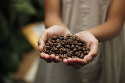 Get To Know Your Coffee -Indonesian Sumatra Mandheling